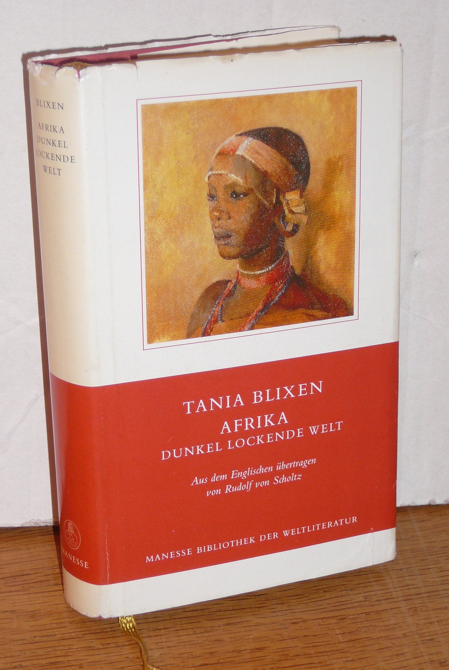 Afrika - dunkel lockende Welt Contemporary literature