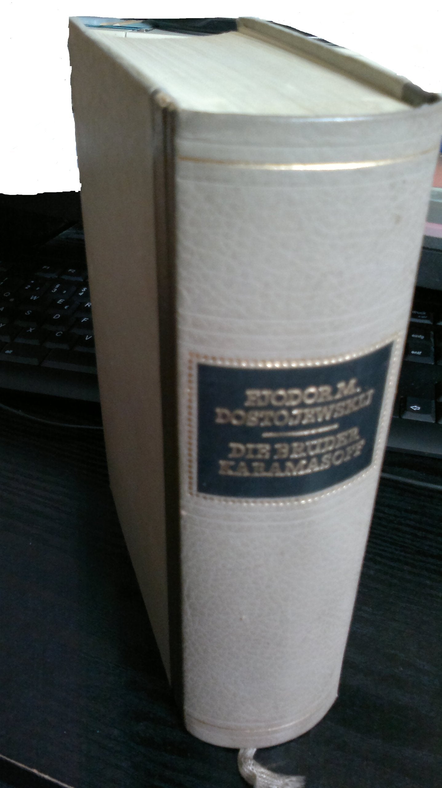 Die Brüder Karamasow: Roman (Manesse Bibliothek der Weltliteratur: Corona-Reihe) Contemporary literature Books