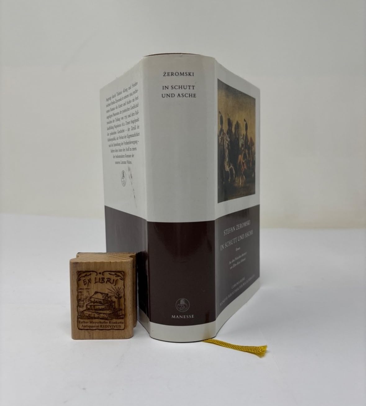 In Schutt und Asche. Roman Books