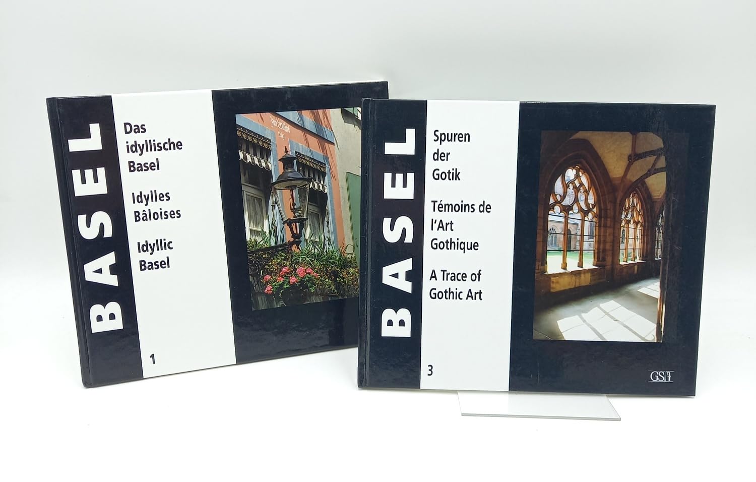 Spuren der Gotik /Témoins de l'Art /A Trace of Gothic Art /Gothique: Ein Foto-Porträt Books