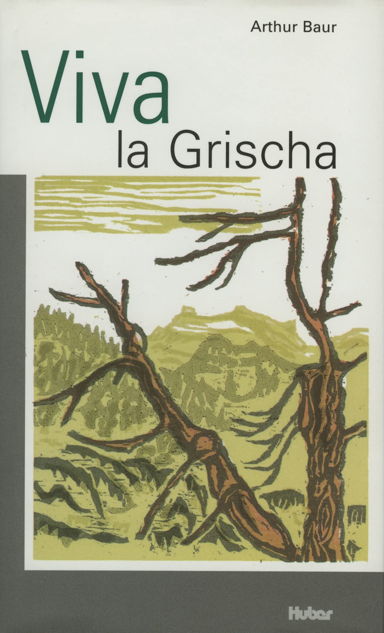 Viva la Grischa (Einführung in die rätoromanische Sprache und Kultur) Books