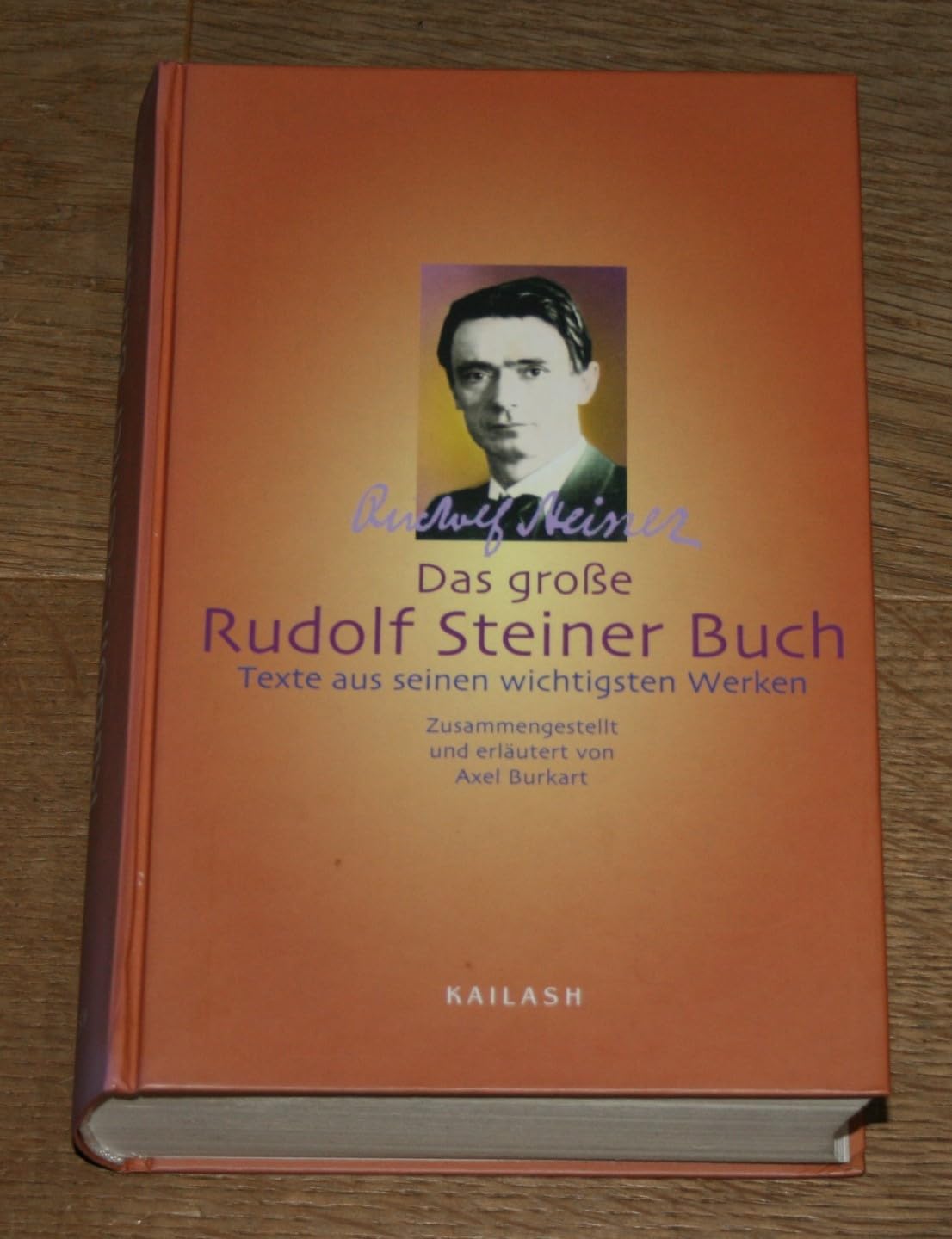 Das große Rudolf Steiner Buch. Texte aus seinen wichtigsten Werken Science