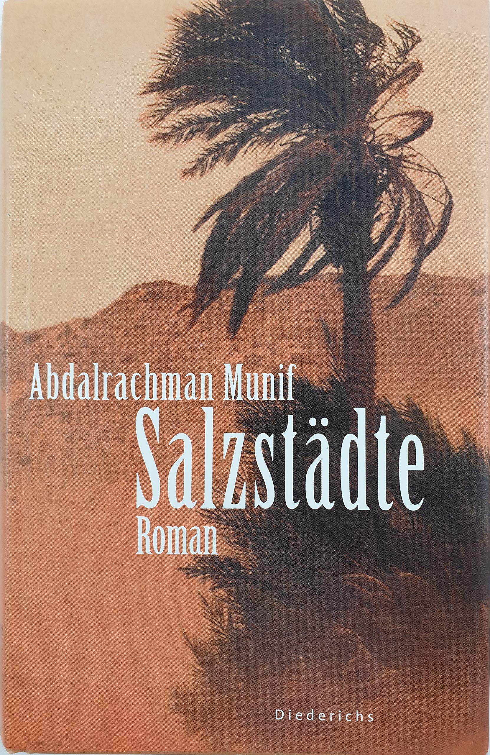 Salzstädte: Roman Historical Fiction