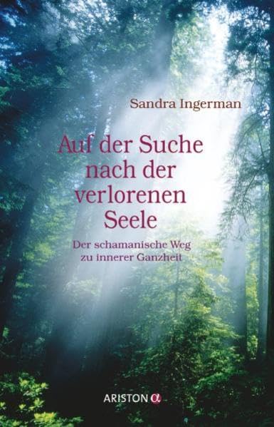 Auf der Suche nach der verlorenen Seele Religion & Esotericism