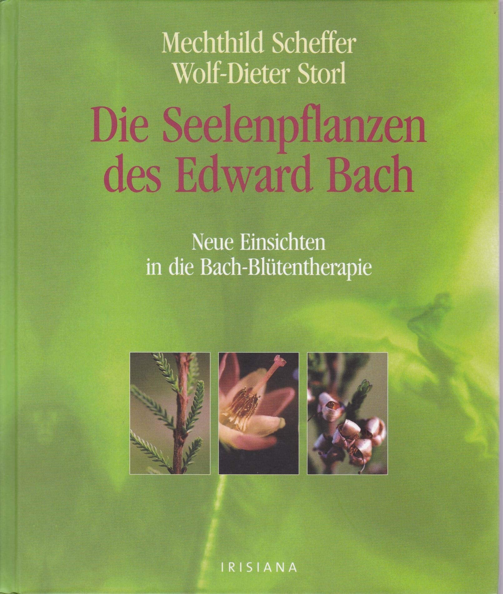 Die Seelenpflanzen des Edward Bach: Neue Einsichten in die Bach-Blütentherapie Medicine