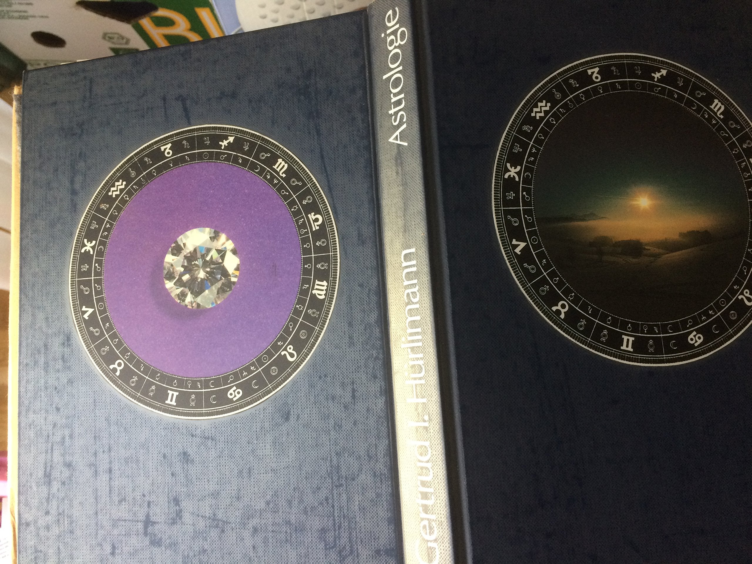 Astrologie - Ein methodisch aufgebautes Lehrbuch Religion & Esotericism