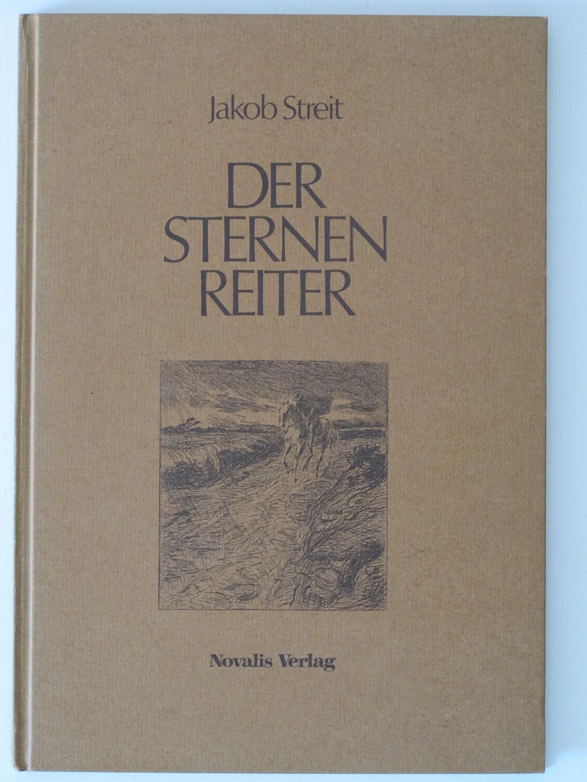 Der Sternenreiter: Zwei irische Erzählungen Novels & Short Stories
