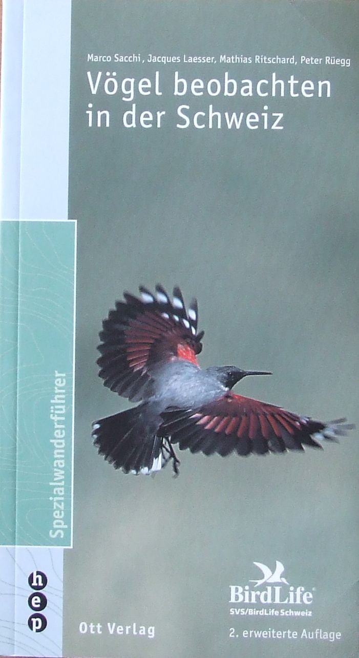 Vögel beobachten in der Schweiz Leisure, Home & Garden