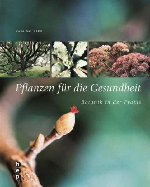 Pflanzen für die Gesundheit: Botanik in der Praxis Garden & Plants