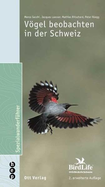 Vögel beobachten in der Schweiz Natural Sciences