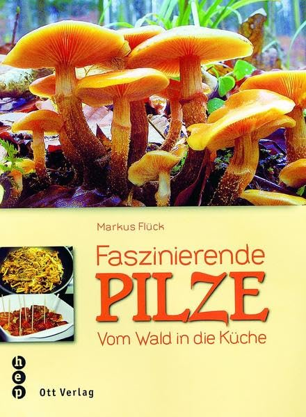 Faszinierende Pilze: Vom Wald in die Küche Leisure, Home & Garden