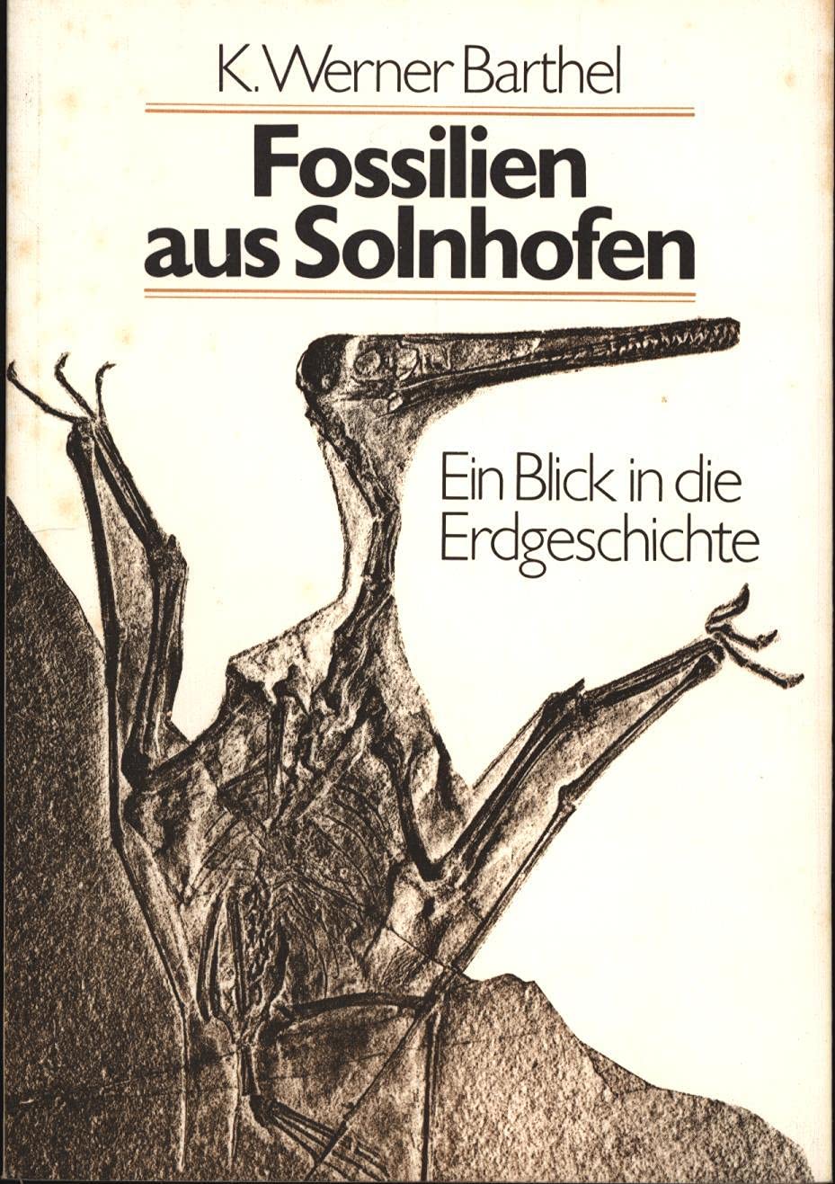 Solnhofen.: Ein Blick in die Erdgeschichte. Business & Technology