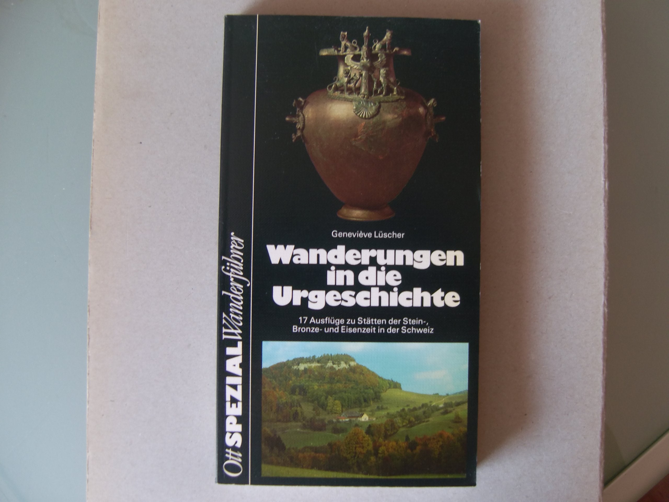 Wanderungen in die Urgeschichte: 17 Ausflüge zu Stätten der Stein-, Bronze- und Eisenzeit in der Schweiz Politics & History