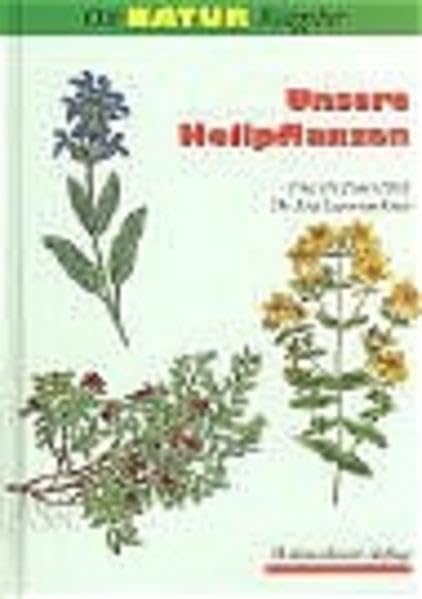 Unsere Heilpflanzen: Wirkstoffe, Wirkung, Anwendung, Einsammeln und Anbau: Eine gemeinverständliche Beschreibung mit Angaben über Wirkstoffe, Wirkung, Anwendung, Einsammeln und Anbau Leisure, Home & Garden