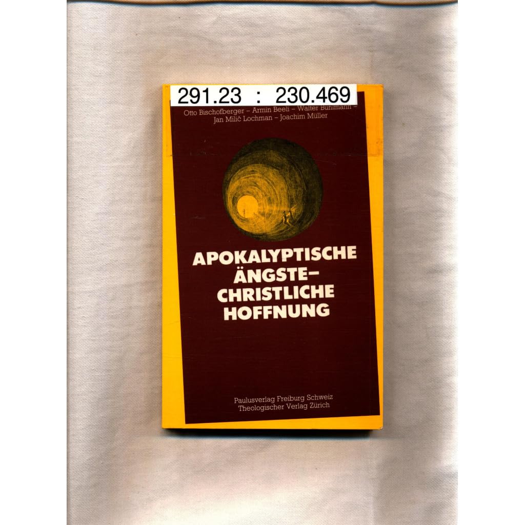 Apokalyptische Ängste - christliche Hoffnung (Weltanschauung im Gespräch) Books