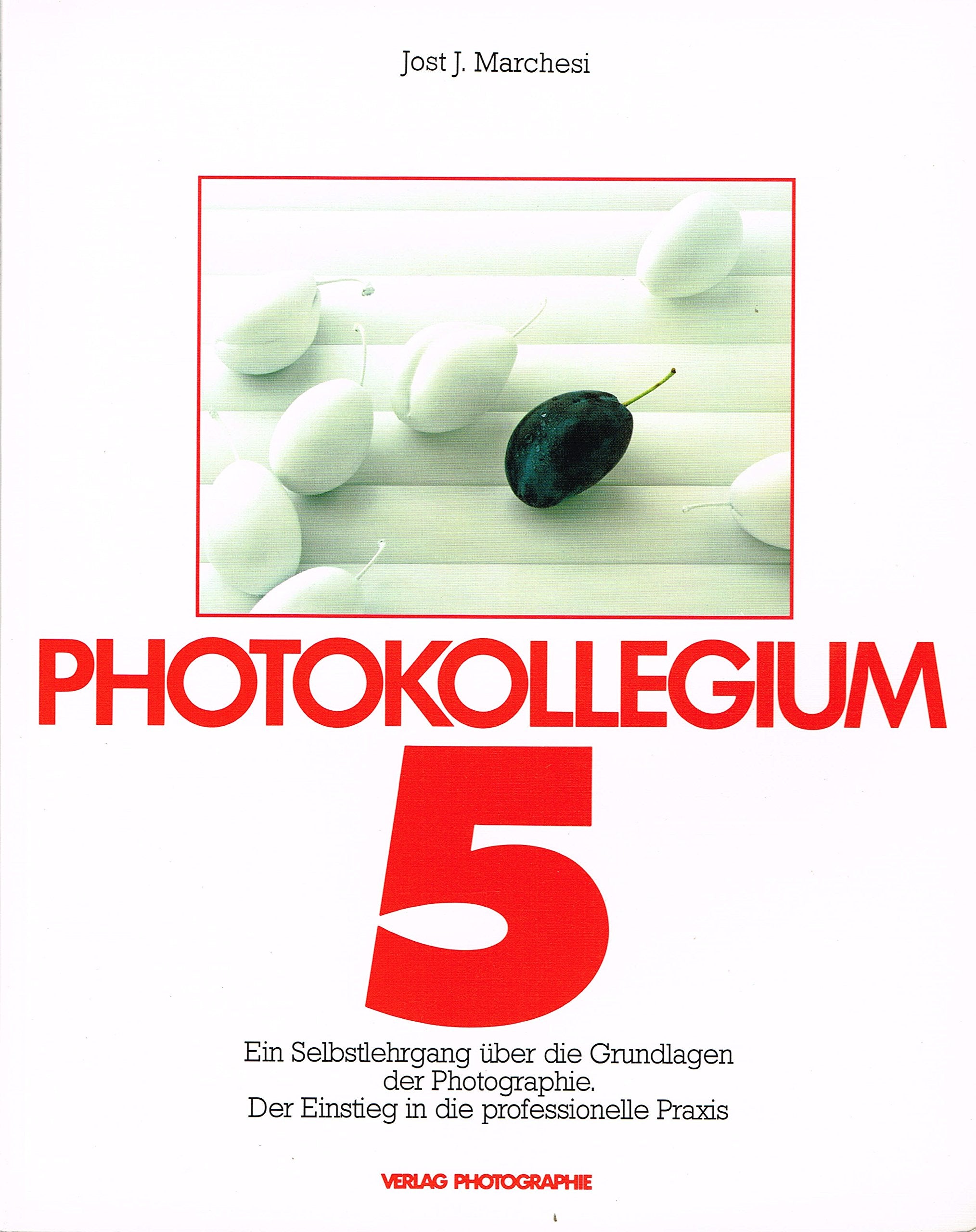 Photokollegium 5: Ein Selbstlehrgang über die technischen Grundlagen der Photographie. Der Einstieg in die professionelle Praxis Books