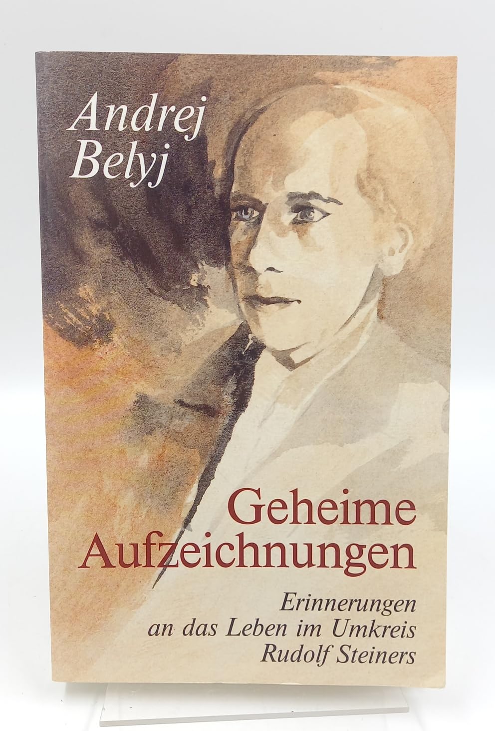 Geheime Aufzeichnungen: Erinnerungen an das Leben im Umkreis Rudolf Steiners (1911-15) Contemporary literature