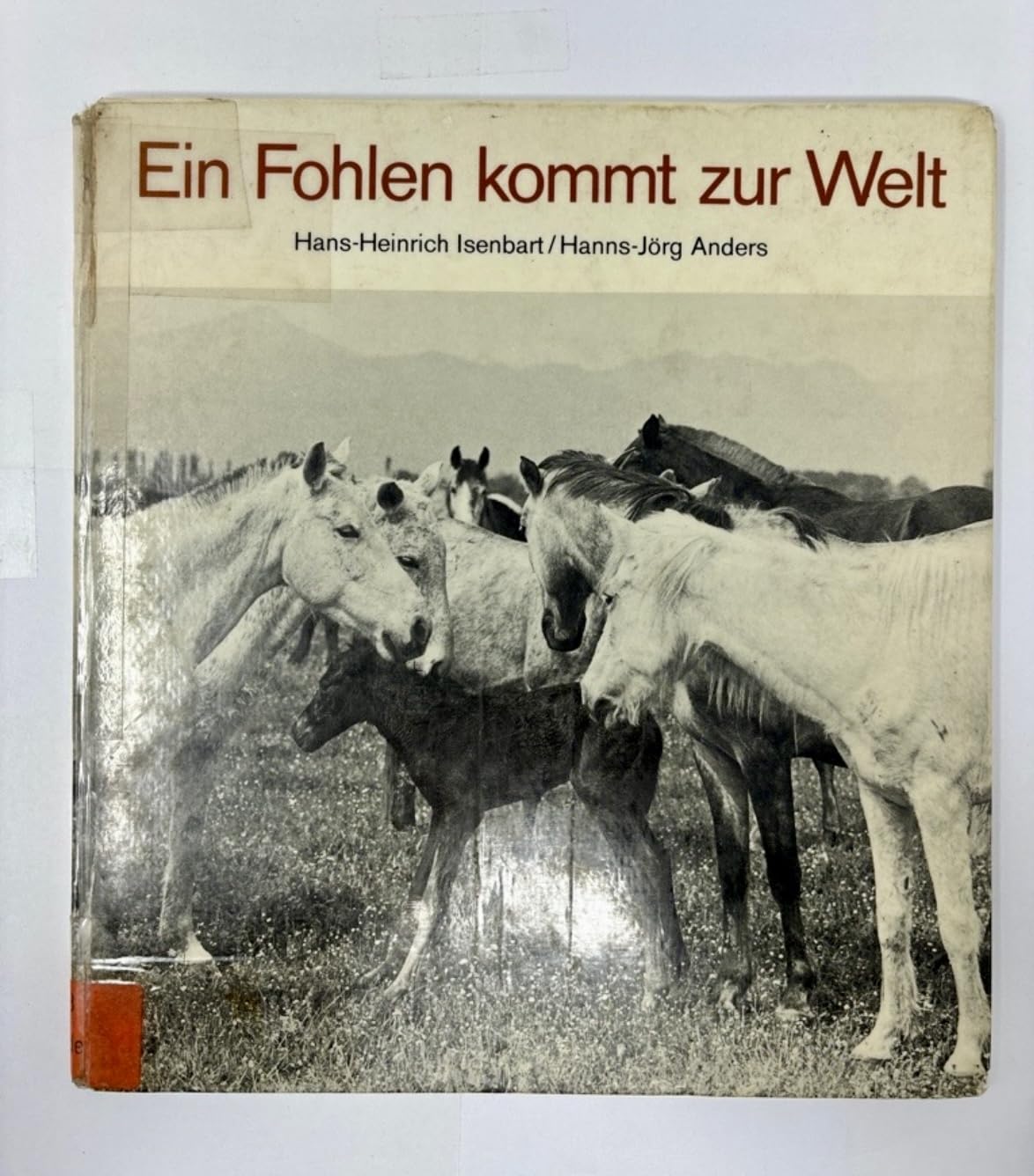 Ein Fohlen kommt zur Welt - Isenbart Hans-Heinrich und Hanns-Jörg (Fotos) Anders book