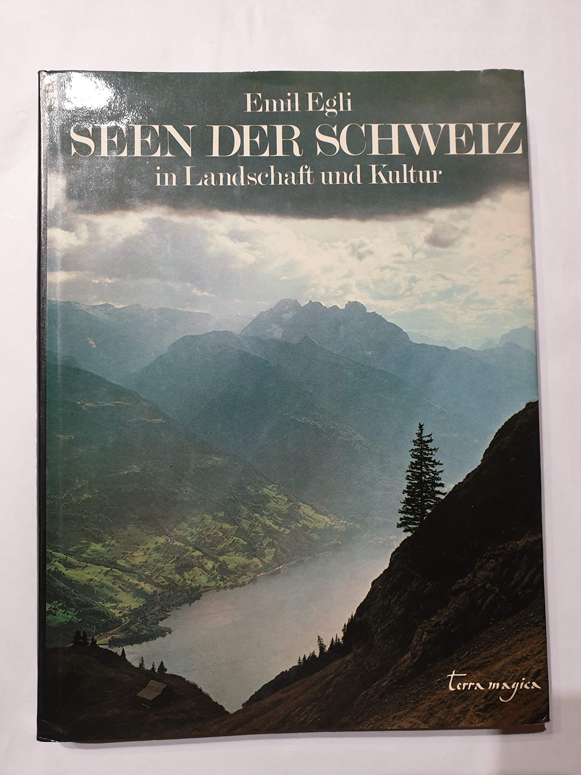 Seen der Schweiz in Landschaft und Kultur Business & Technology