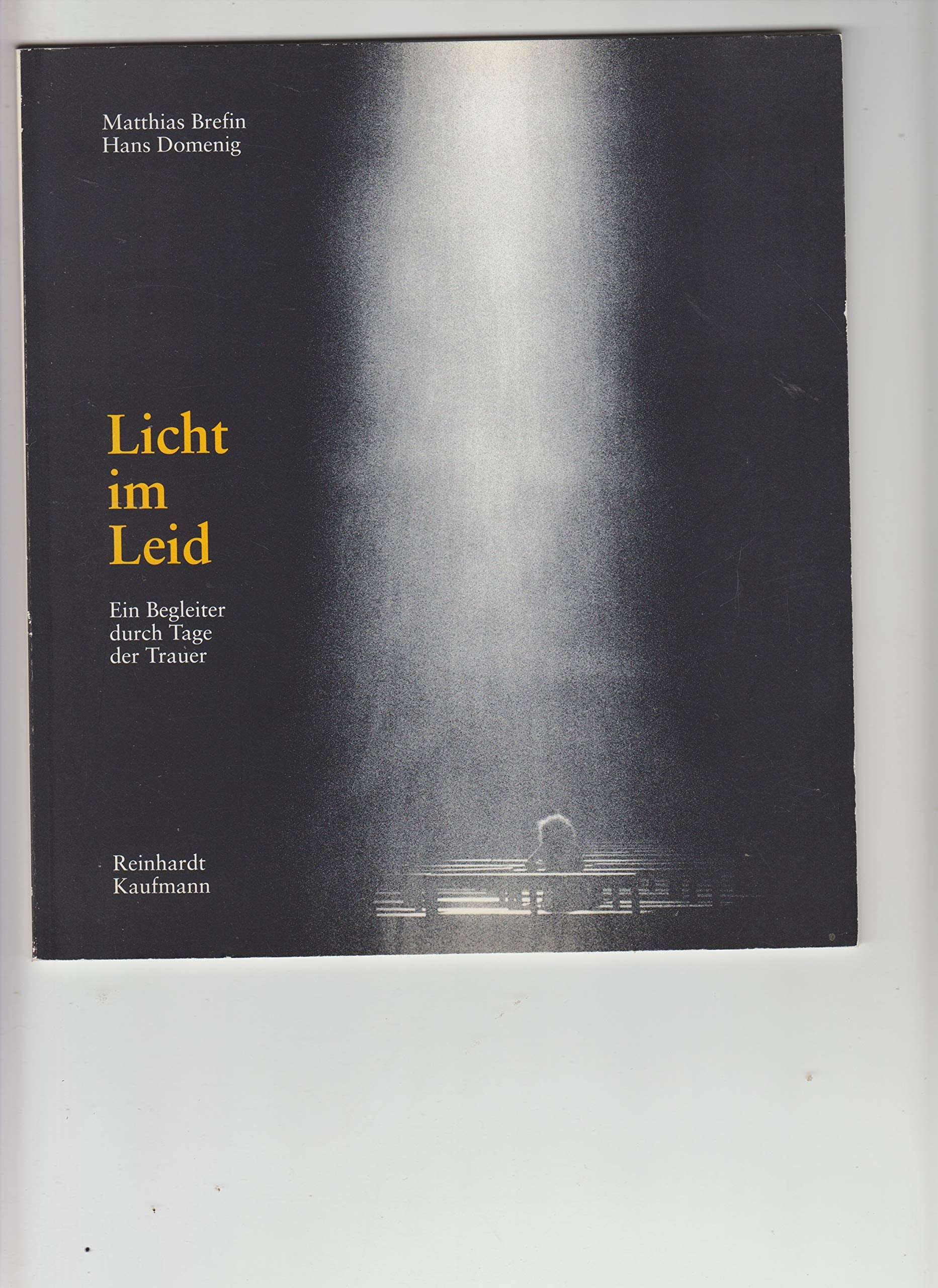 Product Image: Licht im Leid