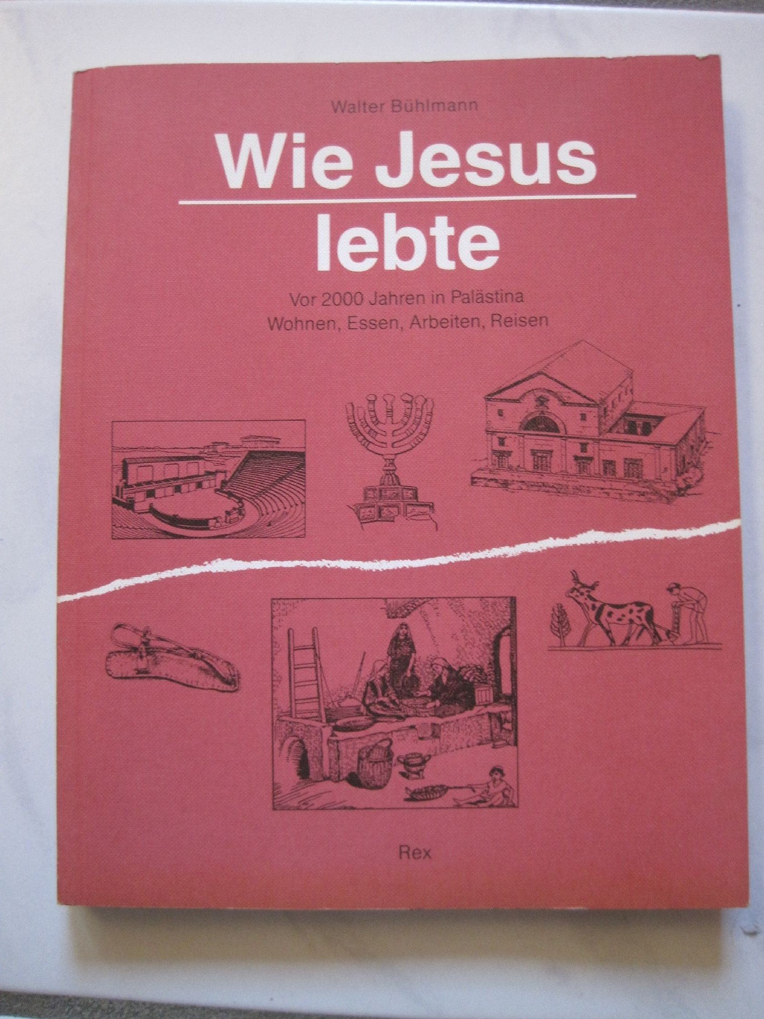 Wie Jesus lebte. Vor 2000 Jahren in Palästina. Wohnen, Essen, Arbeiten, Reisen Social Sciences
