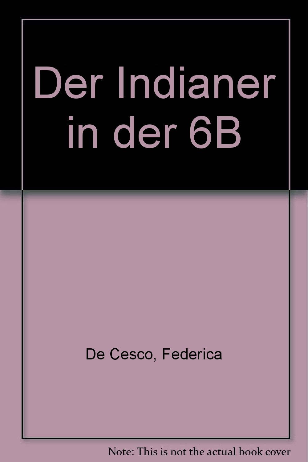 Der Indianer in der 6B Books