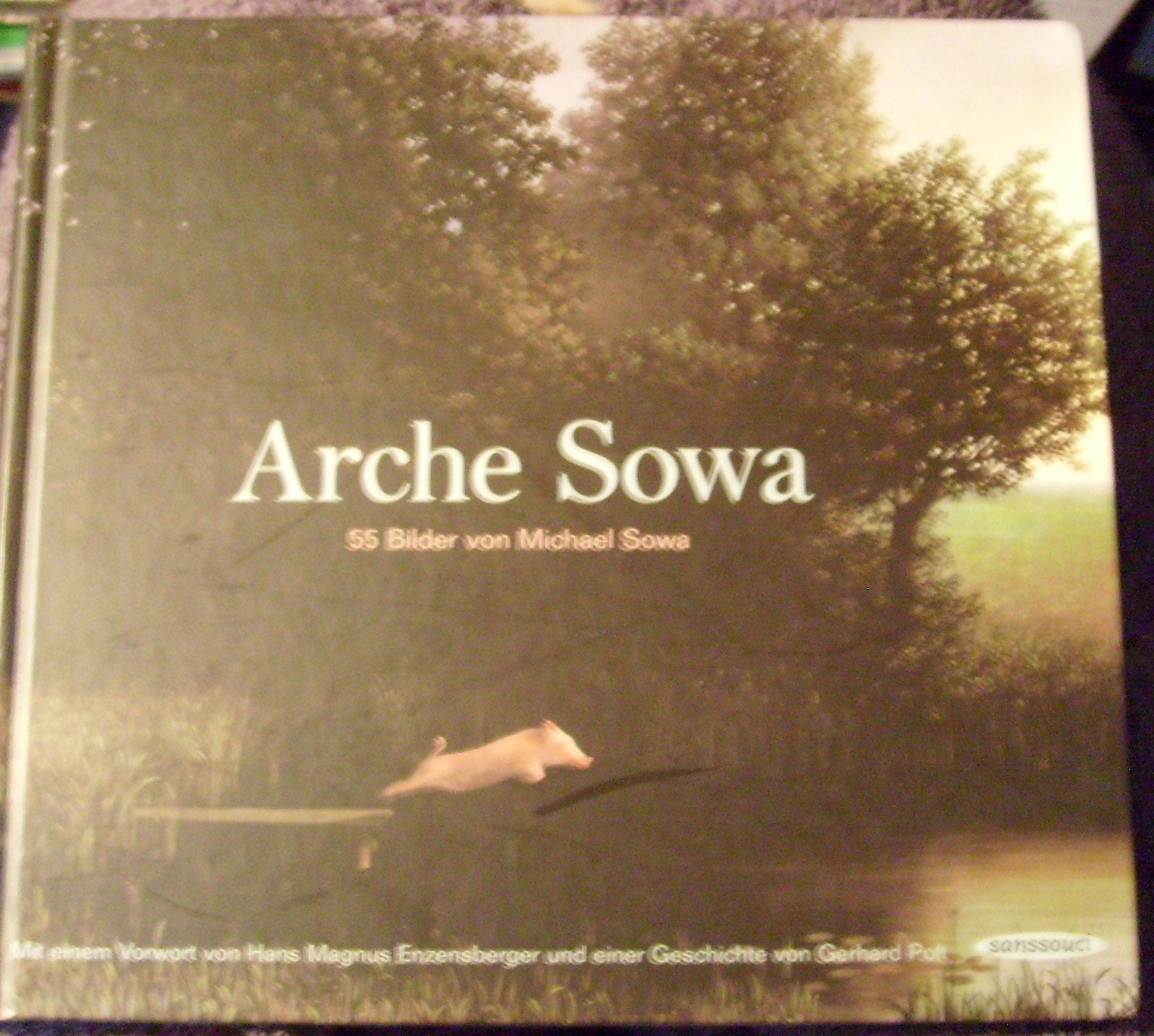 Arche Sowa: 55 Bilder: 55 Bilder. Mit e. Vorw. v. Hans M. Enzensberger Film, Art & Culture
