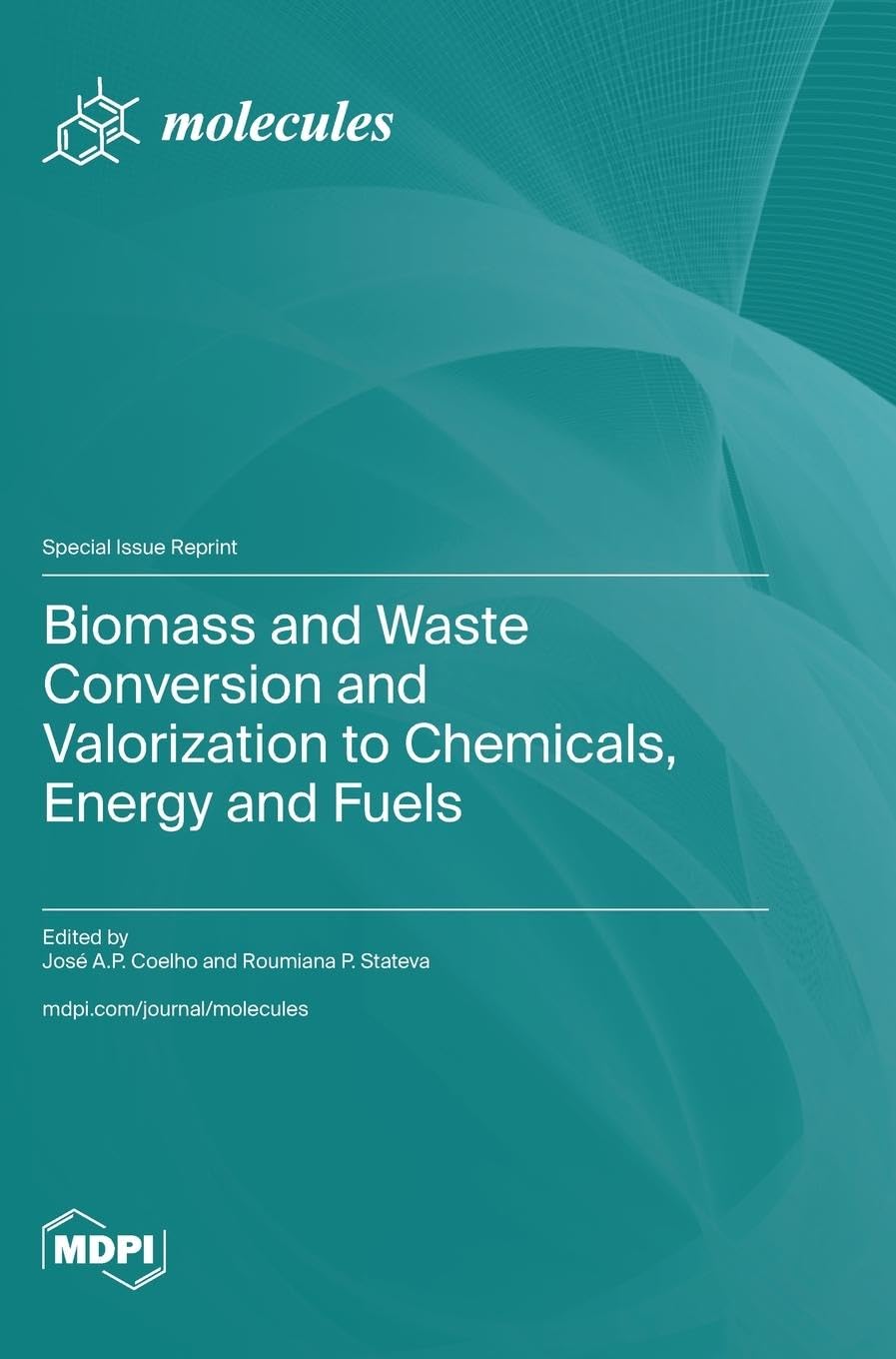 Biomass and Waste Conversion and Valorization to Chemicals, Energy and Fuels Media & Communication