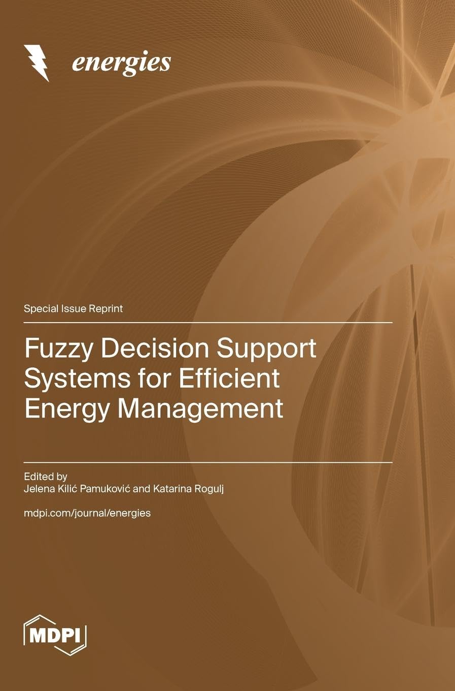 Fuzzy Decision Support Systems for Efficient Energy Management Computer Science