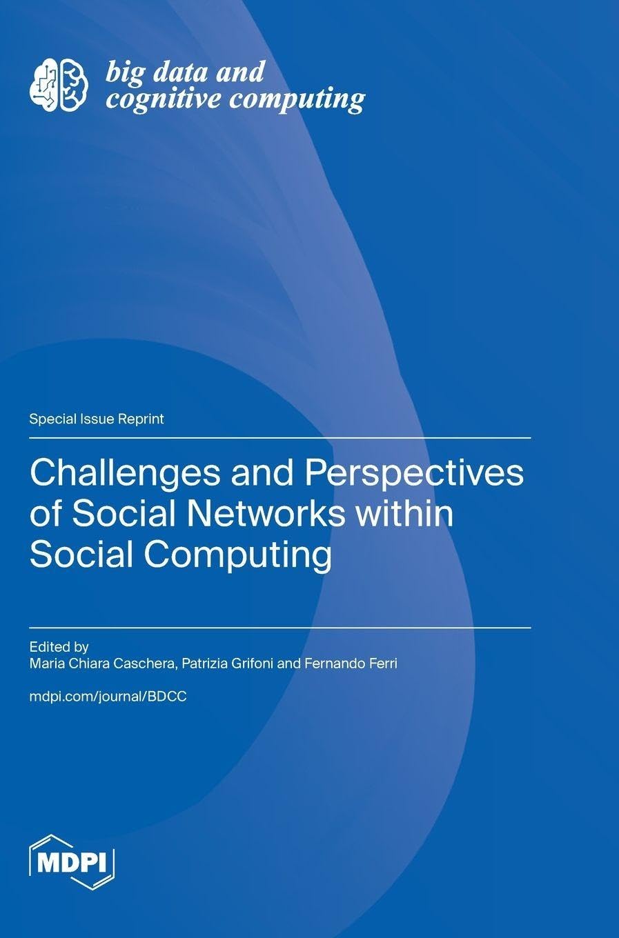 Challenges and Perspectives of Social Networks within Social Computing Media & Communication