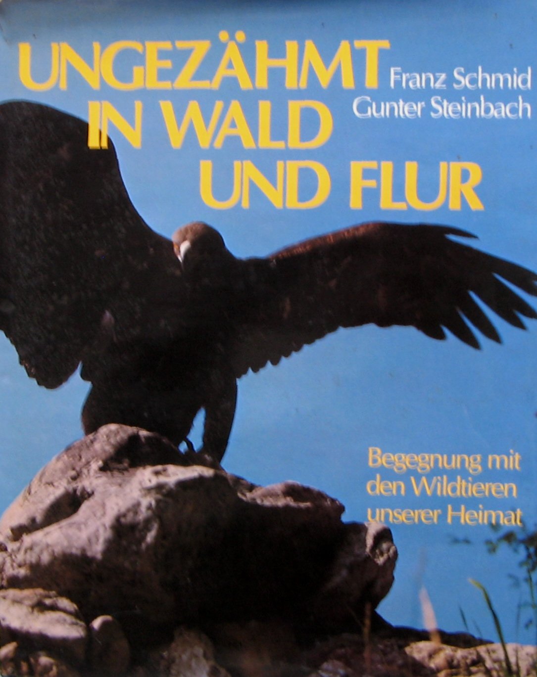 Ungezähmt in Wald und Flur. Begegnungen mit den Wildtieren unserer Heimat Books