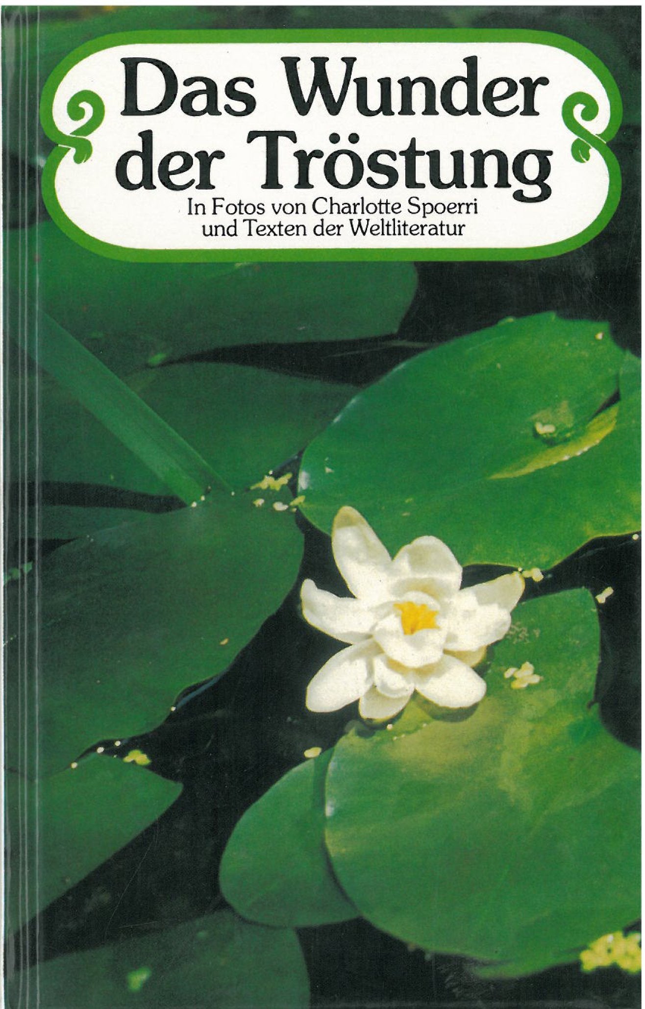 Product Image: Das Wunder der Tröstung.