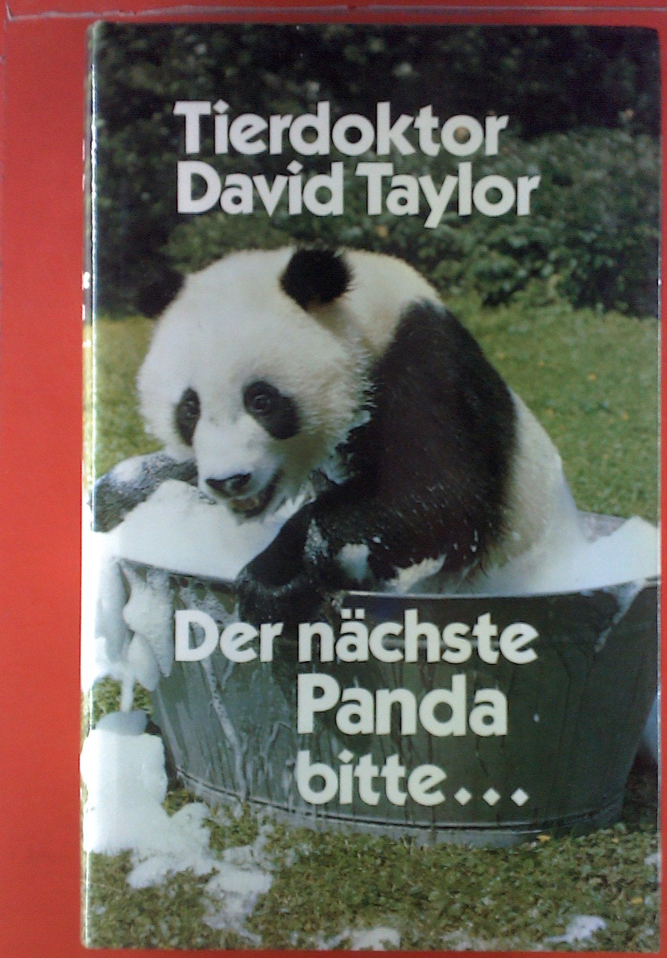 Der nächste Panda bitte… Movies