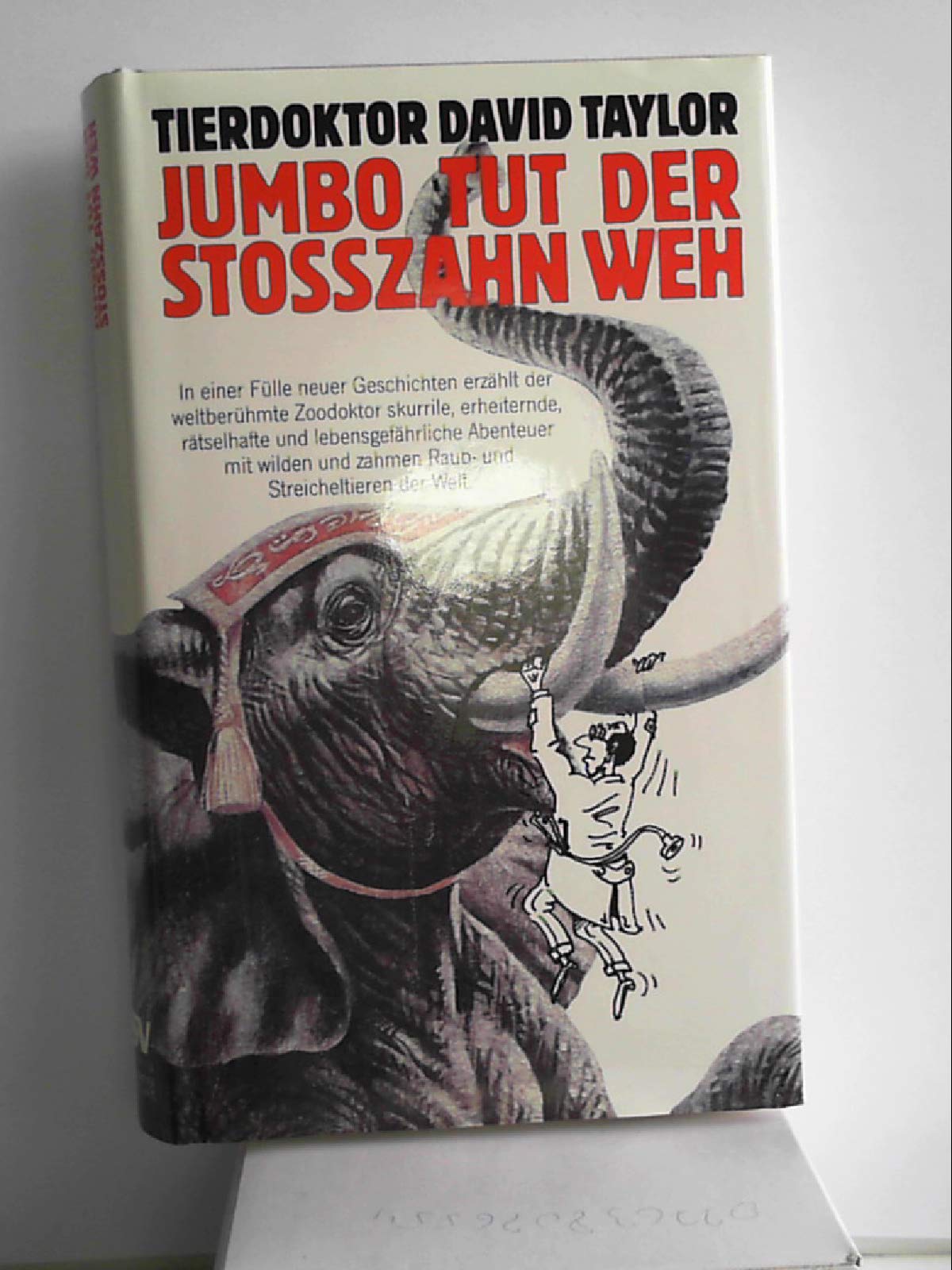 Jumbo tut der Stoßzahn weh Medicine