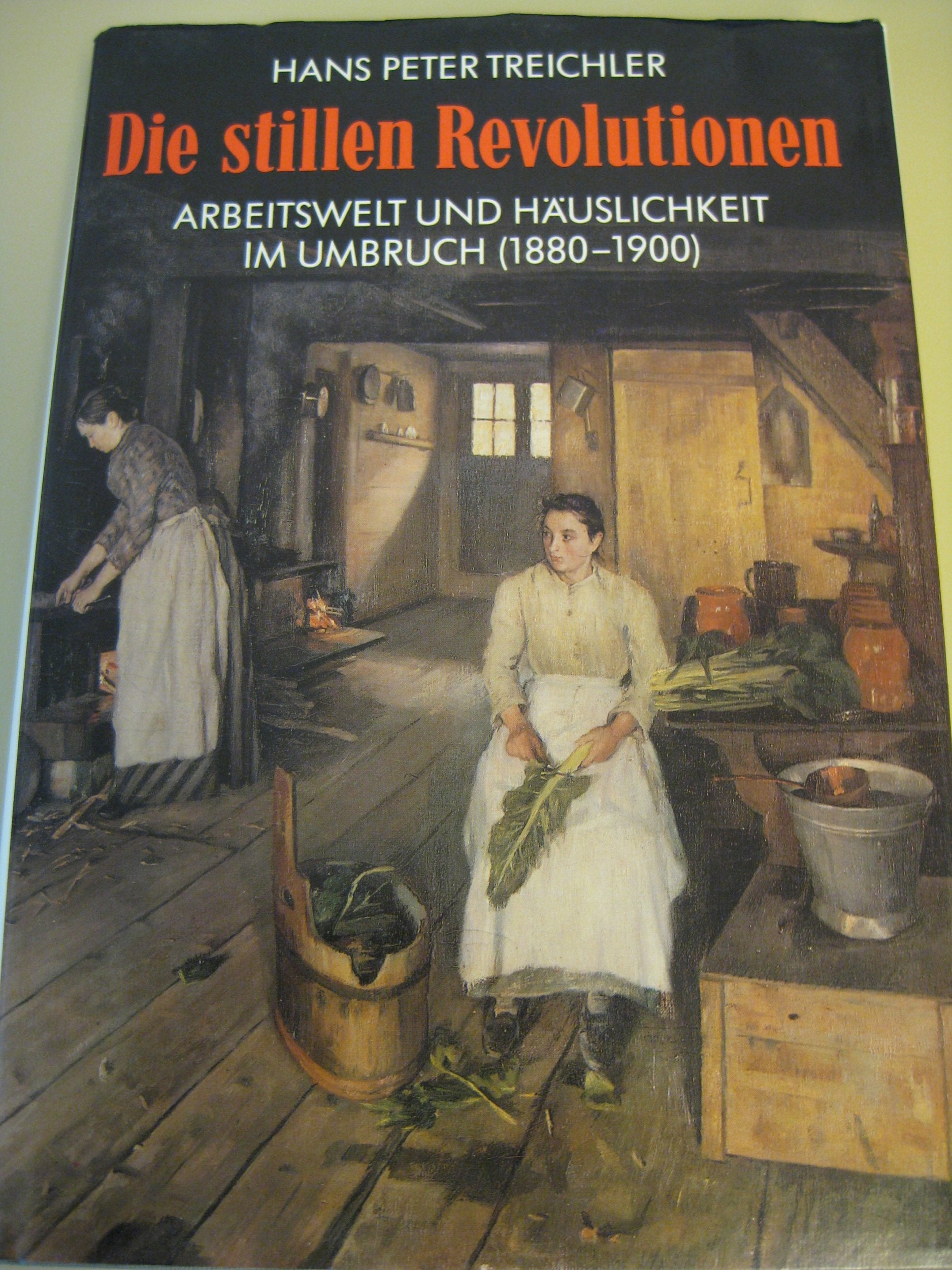 Die stillen Revolutionen. Arbeitswelt und Häuslichkeit im Umbruch (1880-1900) Books