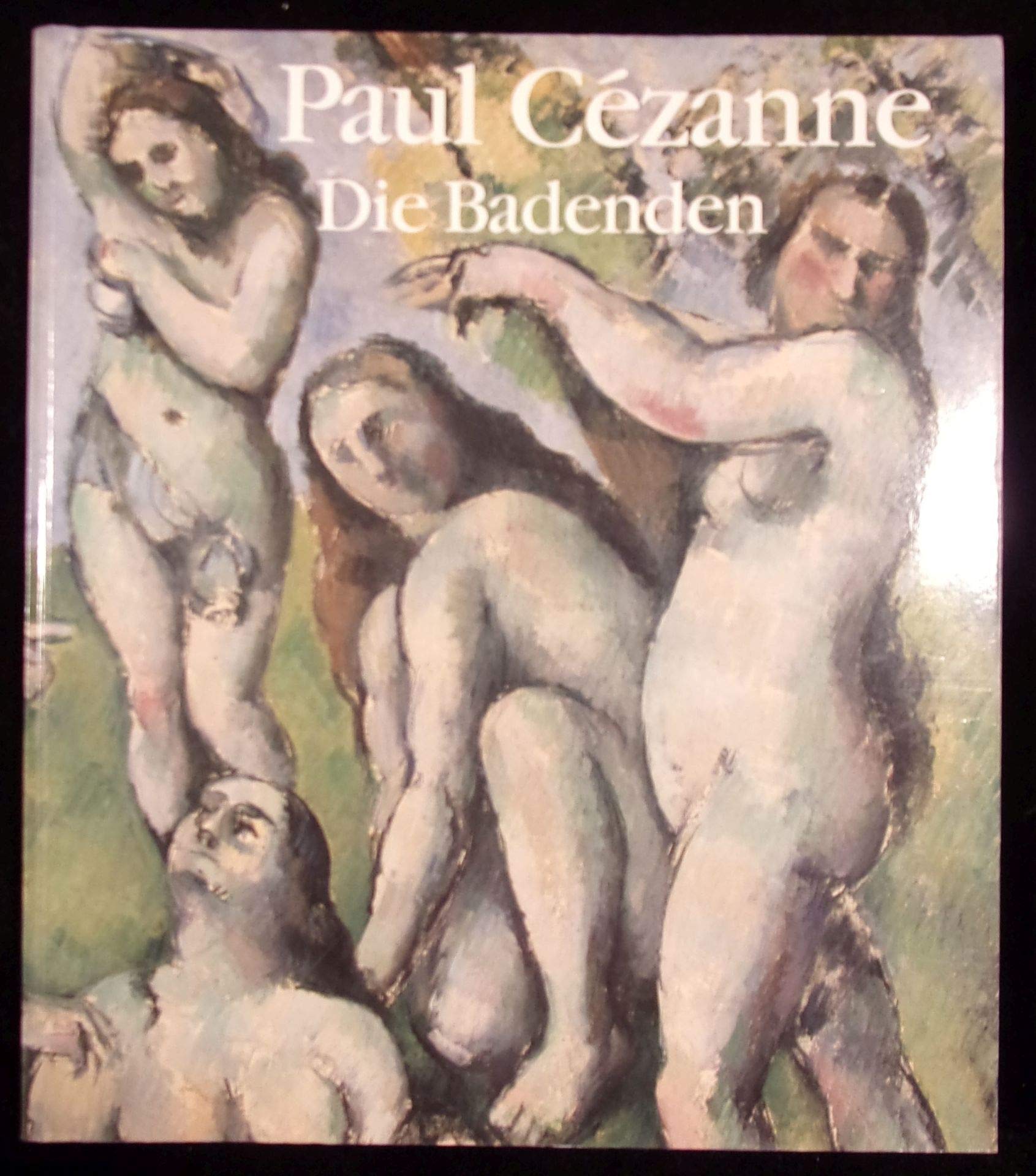 Paul Cézanne: Die Badenden. Ausstellungskatalog Art & Literature
