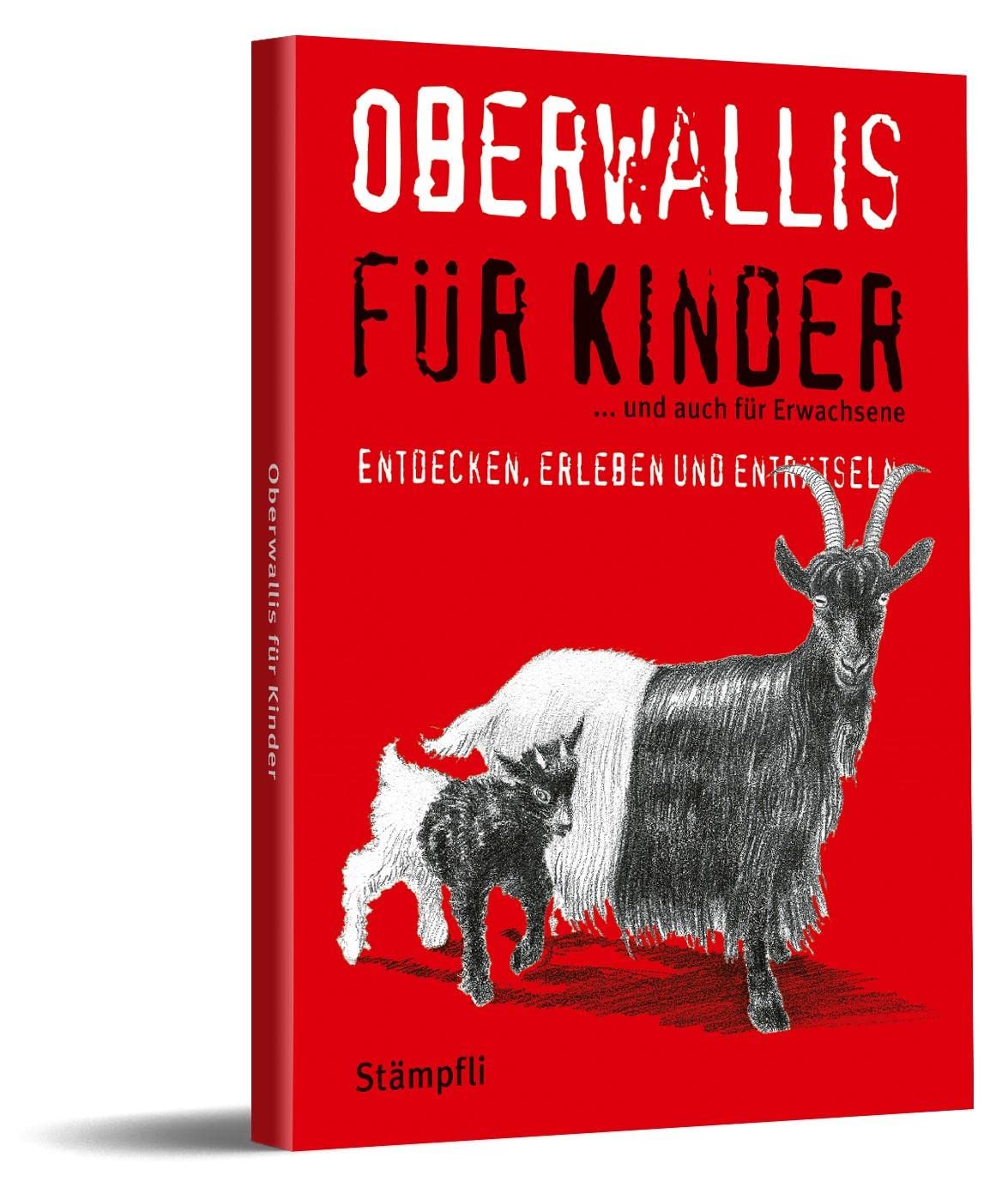 Oberwallis für Kinder Leisure, Home & Garden