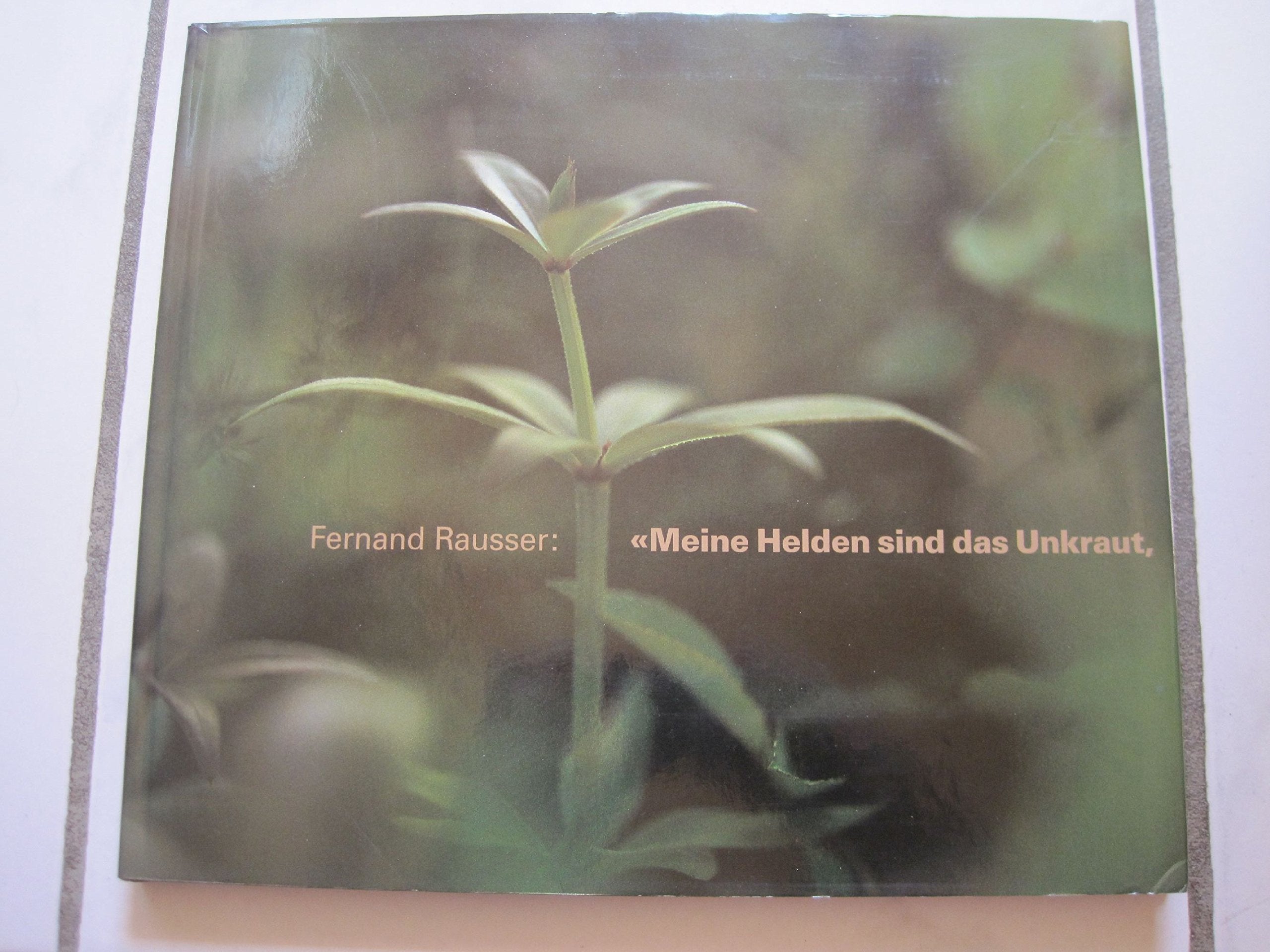 Meine Helden sind das Unkraut, das Gras, der Regentropfen Photography