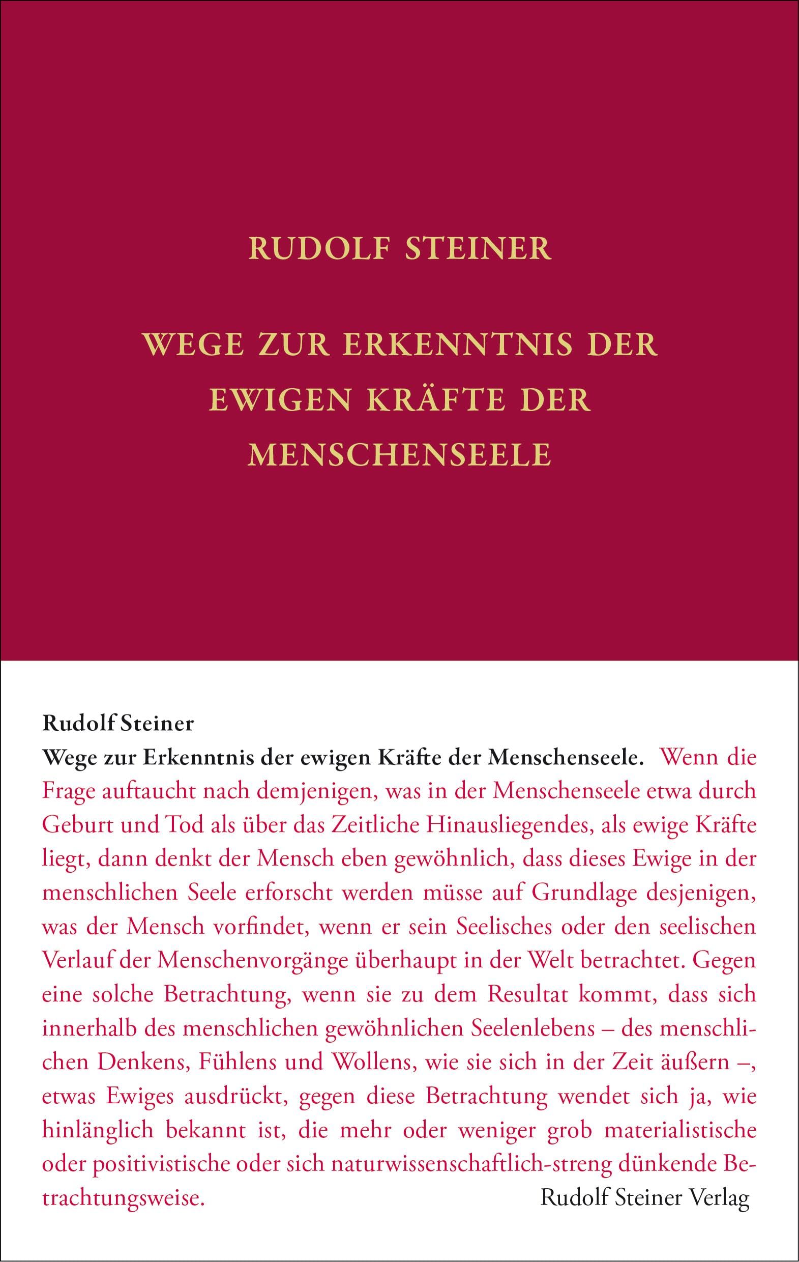 Wege zur Erkenntnis der ewigen Kräfte der Menschenseele: 17 Vorträge während des Ersten Weltkriegs 1915/1916 in verschiedenen Städten (Rudolf Steiner Gesamtausgabe: Schriften und Vorträge) Politics & History