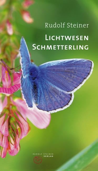 Lichtwesen Schmetterling: Drei Vorträge mit ergänzenden Ausführungen (Thementexte) Health, Nutrition & Fitness