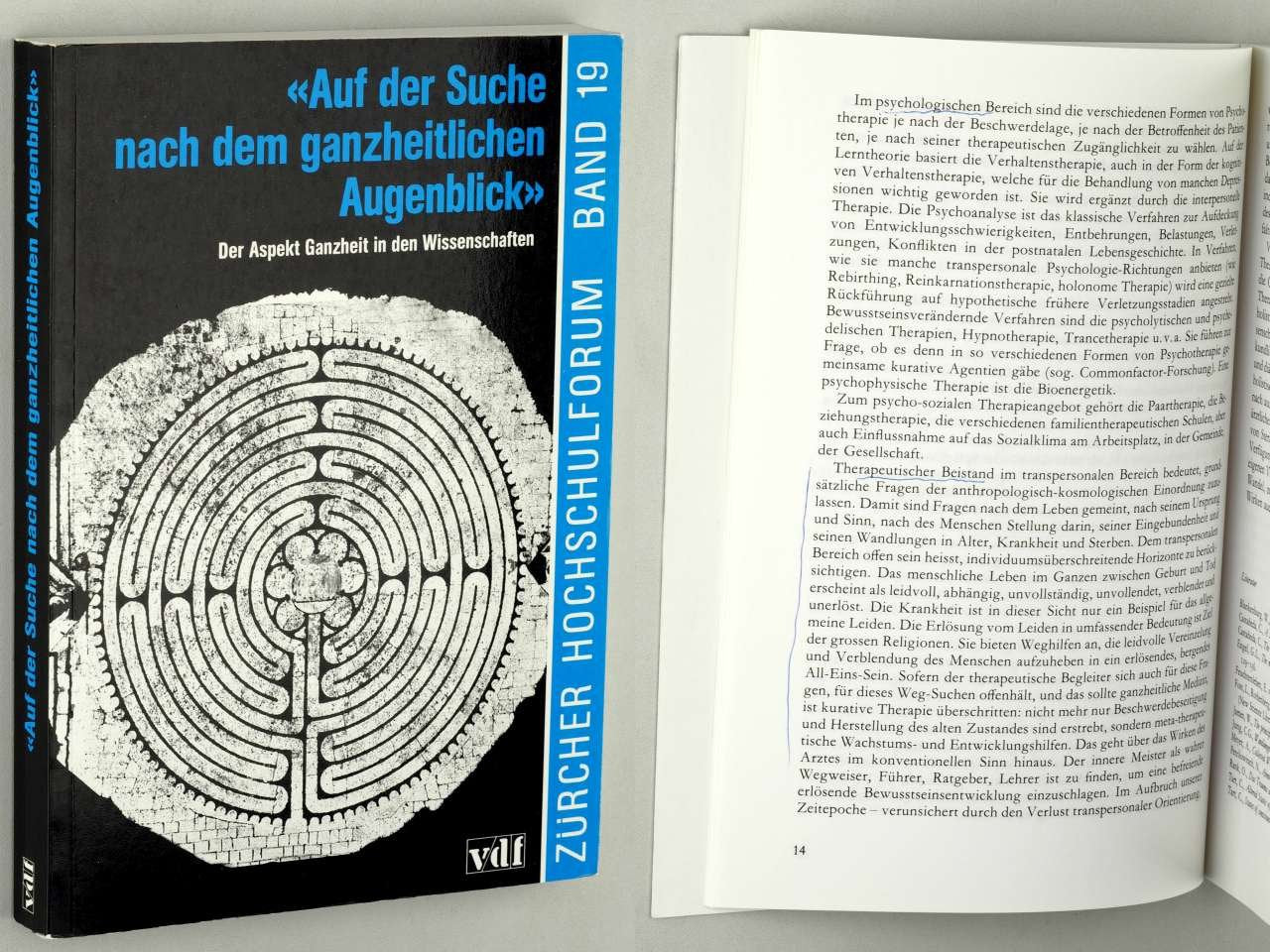 Auf der Suche nach dem ganzheitlichen Augenblick : der Aspekt der Ganzheit in den Wissenschaften book