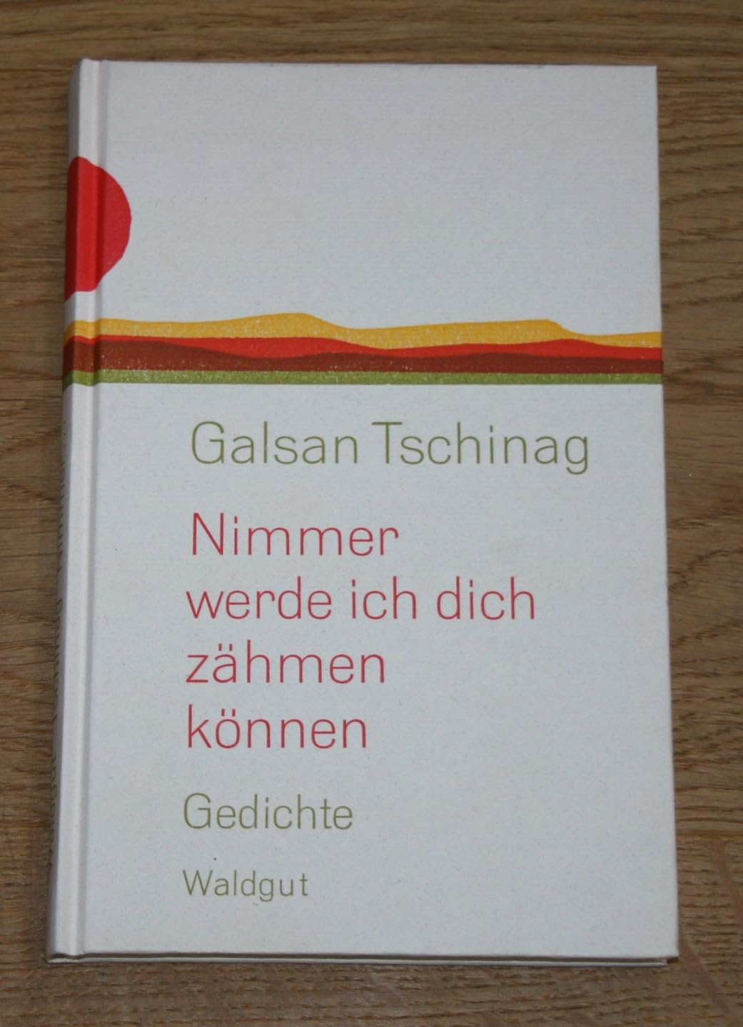 Nimmer werde ich dich zähmen können. Gedichte Fiction