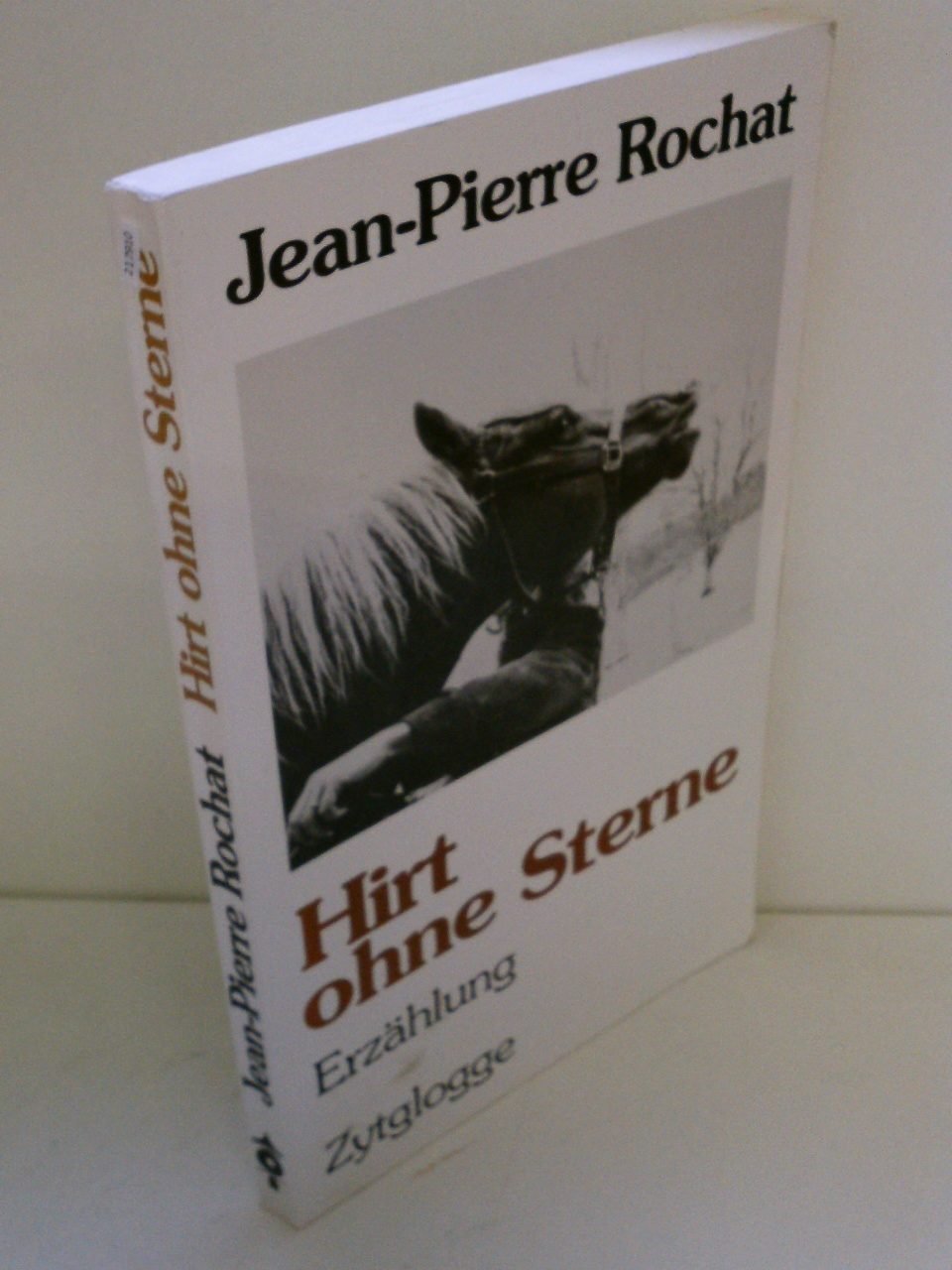 Hirt ohne Sterne: Erzählung Contemporary literature