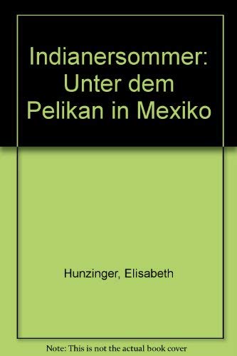 Indianersommer: Unter dem Pelikan in Mexico Contemporary literature