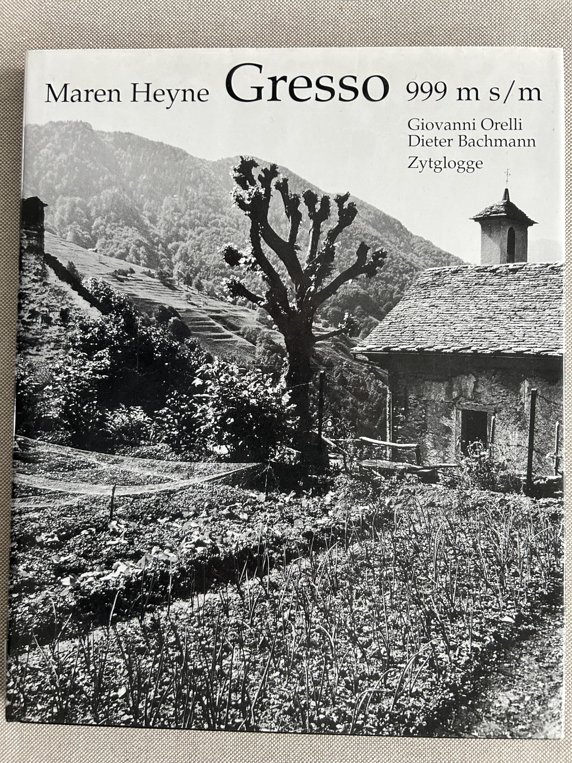 Gresso: Ein Bergdorf im Wandel. Epilog: Dieter Bachmann. Text dtsch.-italien. Politics & History
