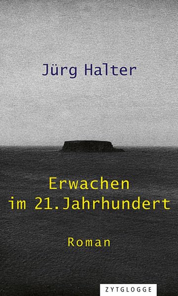Erwachen im 21. Jahrhundert Contemporary literature