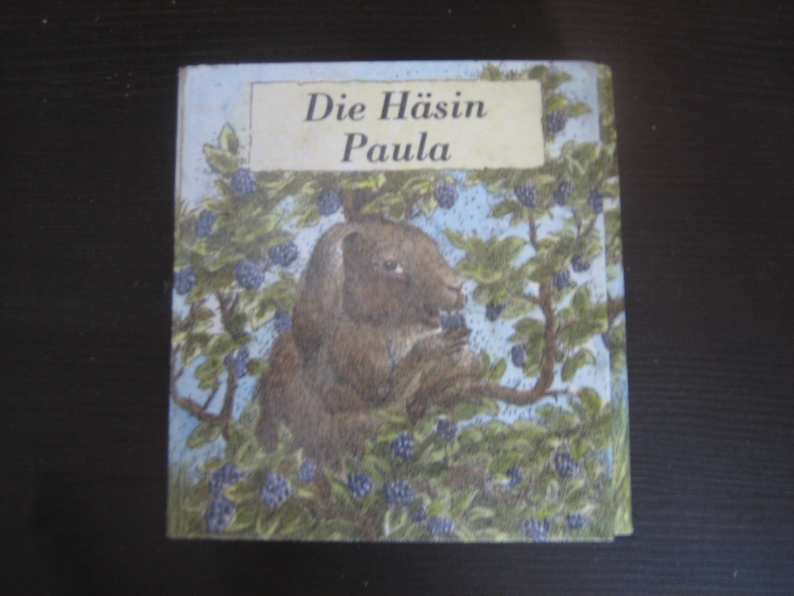 Die Häsin Paula - Pappbilderbuch Leporello für Kinder von 4 Jahren an. Books