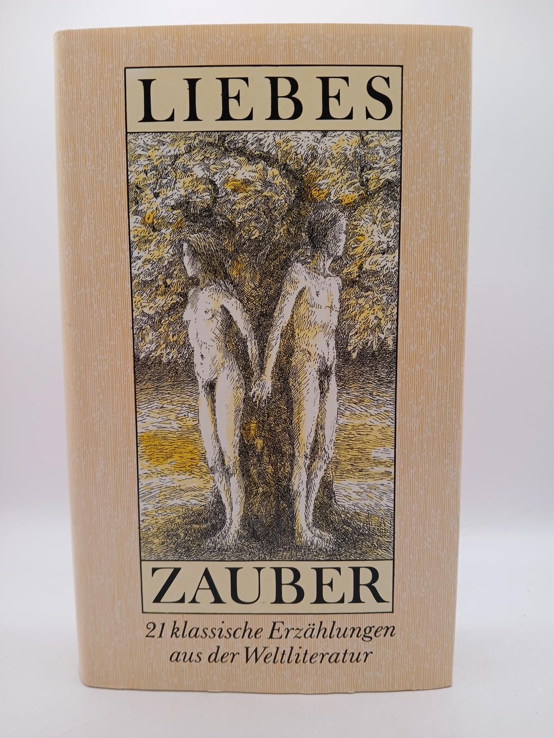 Liebeszauber. 21 klassische Erzählungen aus der Weltliteratur Books