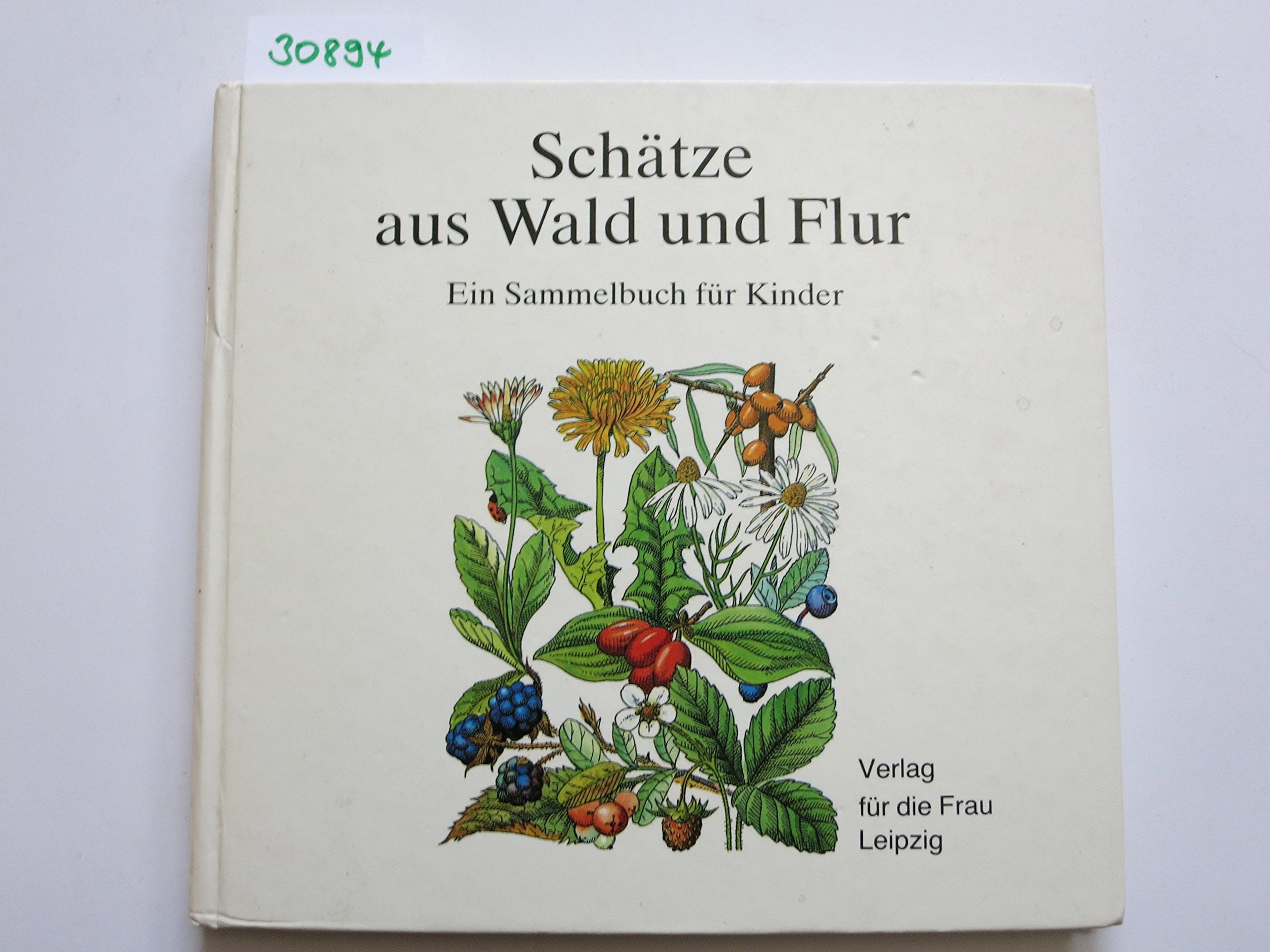 Schätze aus Wald und Flur. Ein Sammelbuch für Kinder Natural Sciences