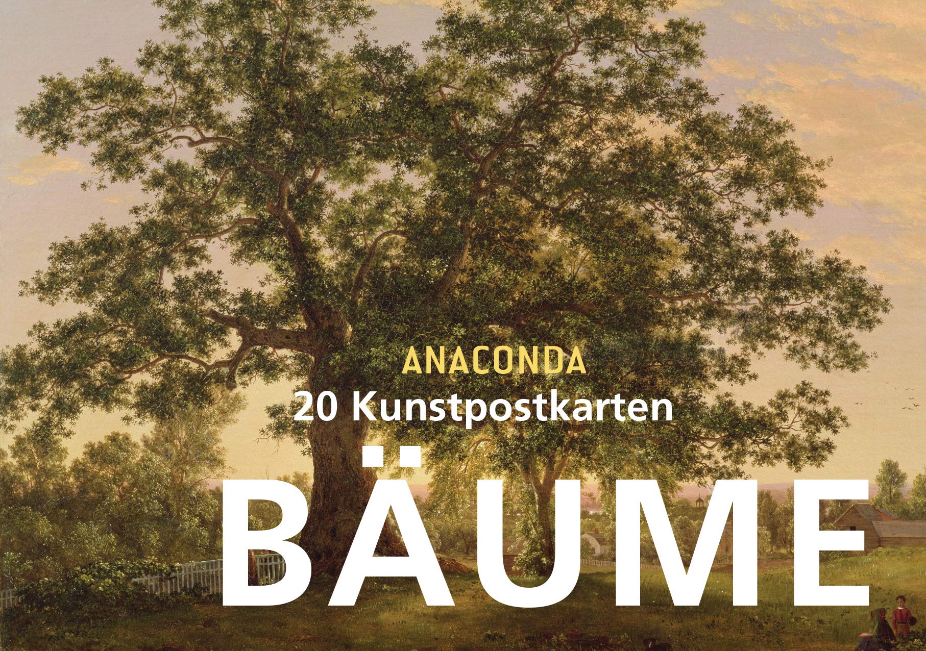 Postkartenbuch Bäume Film, Art & Culture